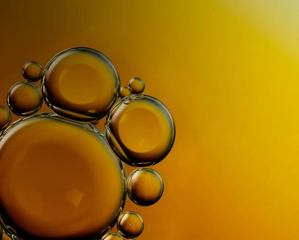 cursos-006 cursos-006