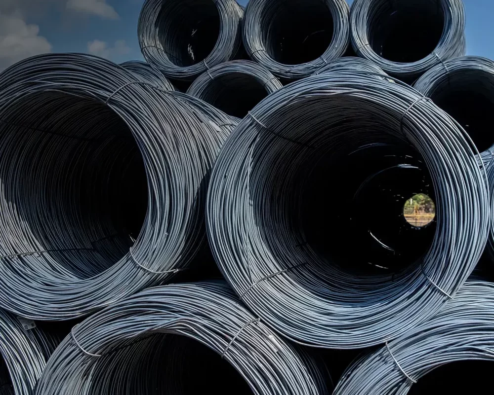 cursos-001-3 cursos-001-3